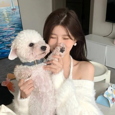 无家者的归途